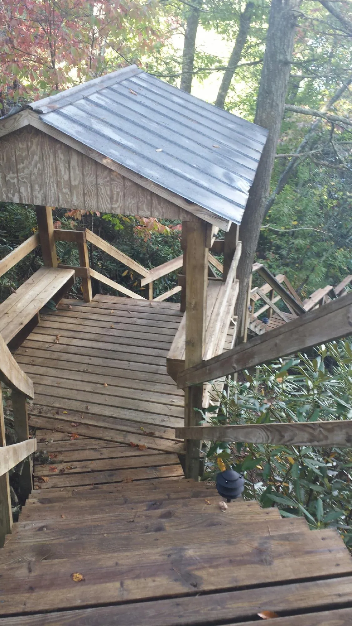 Metal roofed shelter over wooden steps on a wooded walkway — Skylight Repair & Installation work by our crew in Cortez